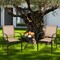 Patio Bistro Armchairs 2 Pack Stackable Steel Outdoor Brown Black